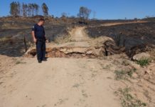 Incêndio devastou grande área na estrada municipal do Bosque