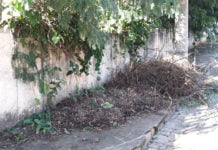 Moradora critica abandono da Rua 26 de Setembro, no Centro