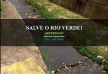 Grupo Gaia coleta assinaturas no Jardim Fortaleza