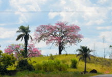 Outono começa com chuva