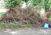 Morador do Jardim Fortaleza reclama sobre entulhos