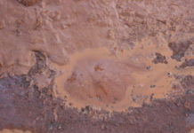 Esgoto vaza na Av. Sargento Cassiano