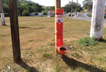 Escoteiros constroem comedouro para cães de rua