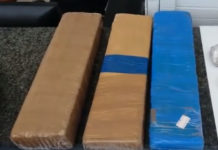 Mais de 2 kg de maconha são apreendidos em São José