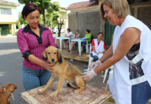 Vacina contra raiva na zona rural