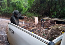 Aves silvestres foram apreendidas em São João e o dono foi multado em R$ 6 mil