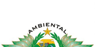 Homem mata tucano para fazer artesanato em São João