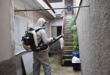 Com 145 casos de dengue, prefeitura faz mutirão na cidade