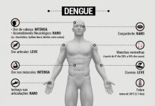 Dengue: 200 casos confirmados