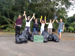 Voluntários do Greenpeace realizaram ação de limpeza no Bosque Municipal