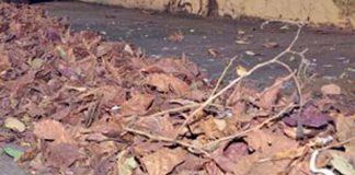 Ausência de varredores de rua é questionada