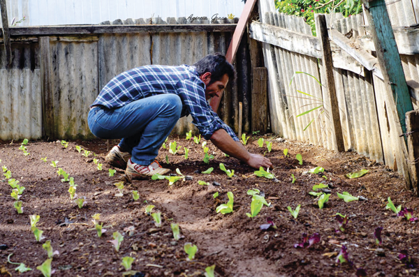 Chacara-casa-de-passagem