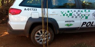 Polícia Ambiental flagra pesca ilegal em Vargem