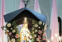 Neste sábado, dia 25, tem live da Romaria com viola e saudade
