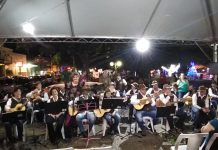 Cultura se prepara para Live da Romaria