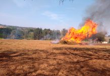 Em Mogi Mirim, uso de fogo em área agropastoril rendeu multa