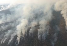 Unifeob monta hospital de campanha veterinário na Serra