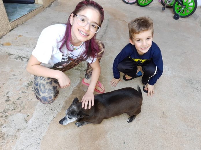 Momento Pet 22 08 2020 (1)