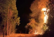 GCM e Defesa Civil voltam a combater incêndios nesta segunda-feira