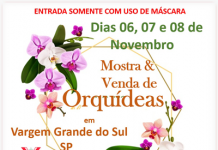 Exposição de Orquídeas teve início nesta sexta