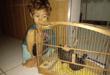 Momento Pet