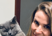 Momento Pet