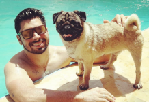 Momento Pet