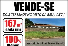 Classificados