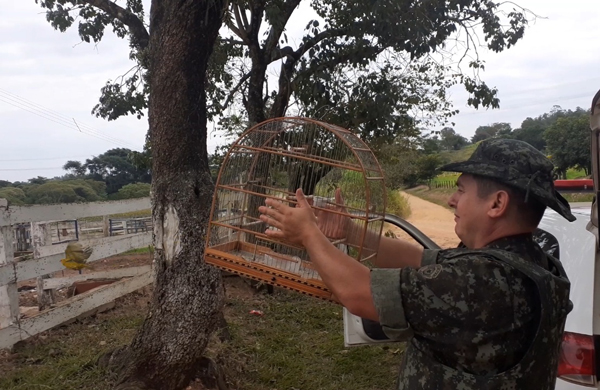 Ave-mantida-em-cativeiro-Casa-Branca-(1)