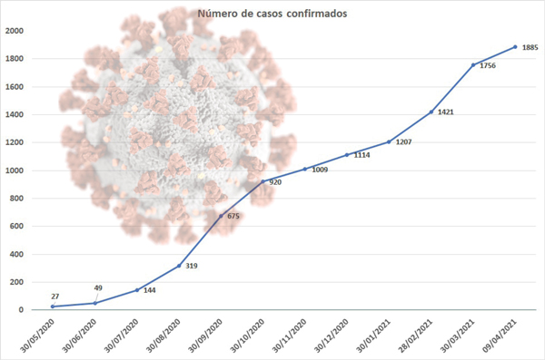 covid-gráfico