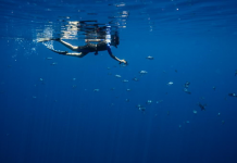 Cineasta de Vargem participa de projeto do Greenpeace no Oceano Índico