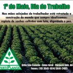 Fertiplanta