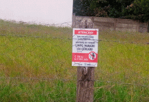 Casa Branca supervisiona terrenos sem limpeza