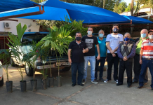 Doação de mudas para o Projeto Arborize, em Grama