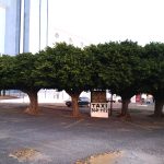 Ponto_Taxi_Praça-(4)