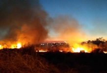 GCM já debelou 79 incêndios neste ano em Vargem Grande