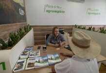 Produtor pode contar com os recursos do Plano Safra de bancos e cooperativas