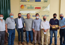 IAC lança novas batatas em Vargem