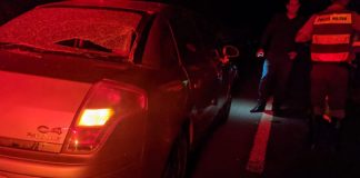 Acidente na SP-344, deixa motociclista ferida