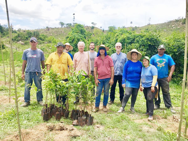 Itobi-plantio-de-mudas