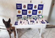 Entre diversas ações, GCM atuou na linha de frente da pandemia em 2021