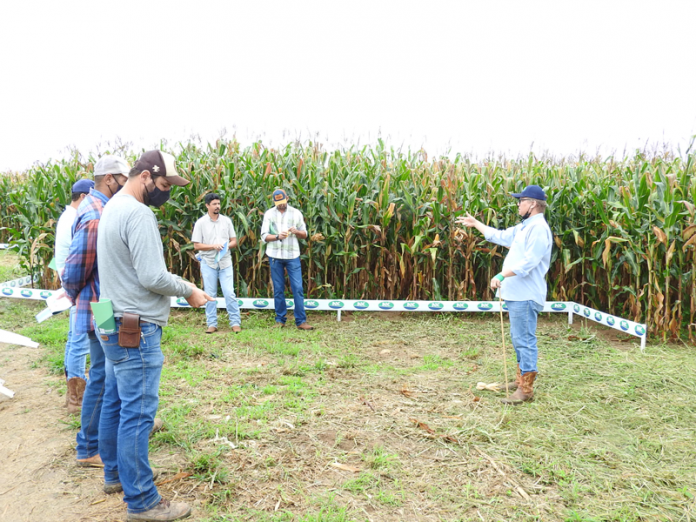 Cooperbatata-Dia-de-Campo-Milho-(1)