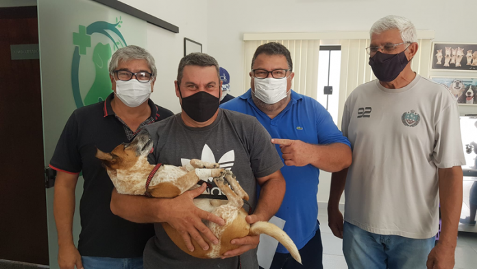 castrações-2022-(11)