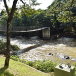 Ilha-São-Pedro-São-José—Copia