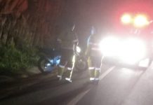 Vaca na pista causa acidente entre Grama e Rio Pardo