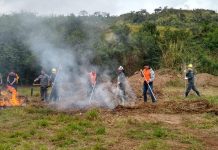 GCM participa de capacitação da Operação Corta Fogo