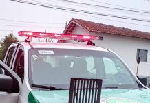 GCM recupera grade furtada
