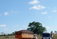 “Profissionais que amam o que fazem”