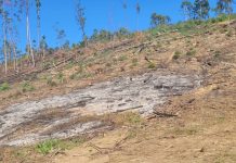 Área de pasto foi queimada em São Sebastião da Grama