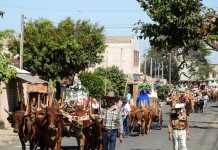46º Romaria dos Cavaleiros de Sant’Ana será dia 31